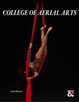 College of Aerial Arts